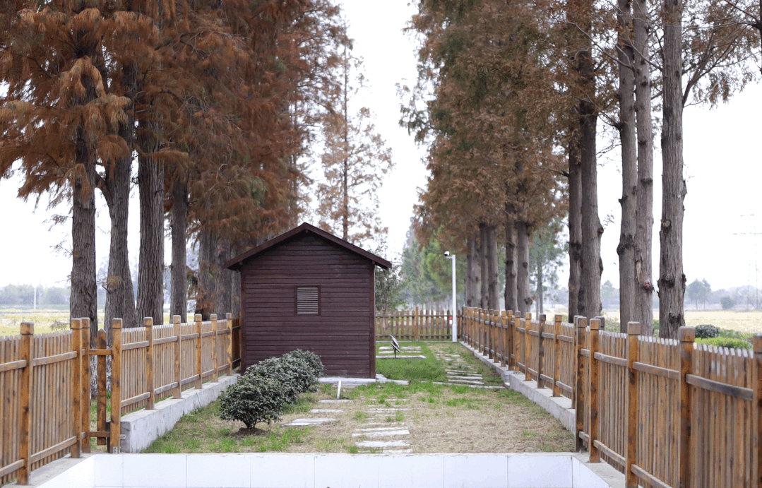 雙良商達(dá)簽訂嘉善縣1620萬元農(nóng)村污水運維服務(wù)合同