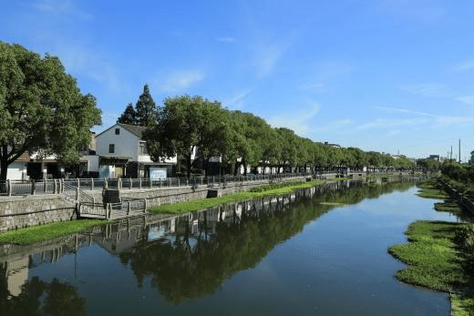 浙江省金華市農(nóng)村生活污水治理“強(qiáng)基增效雙提標(biāo)”行動工作方案（2021—2025年）