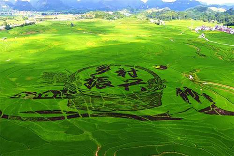 江蘇：關(guān)于加強農(nóng)業(yè)農(nóng)村污染治理促進鄉(xiāng)村生態(tài)振興行動計劃