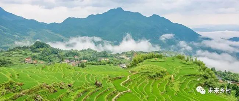“未來(lái)鄉(xiāng)村”長(zhǎng)啥樣？看看浙江的做法！