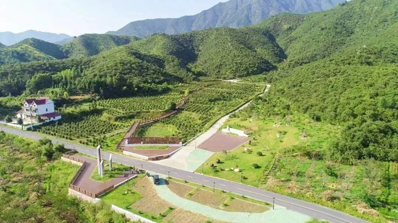 國家級示范，浙江新增4家！