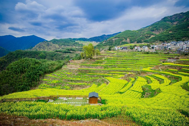 浙江臨安區(qū)農(nóng)村生活污水治理工作喜獲省級(jí)優(yōu)秀
