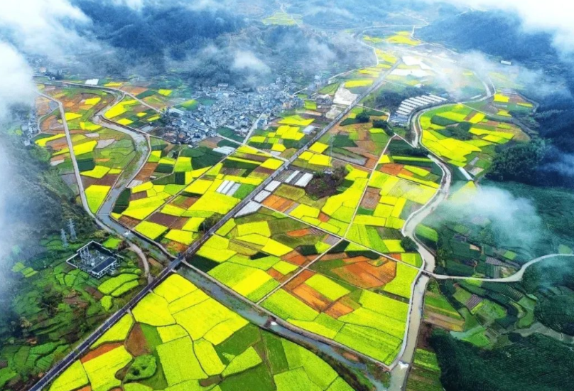 支持社會資本投資農村人居環(huán)境整治，《社會資本投資農業(yè)農村指引（2022年）》發(fā)布