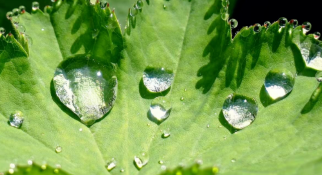 2022年“世界水日”“中國水周”來了！一文看懂，我們這樣做…