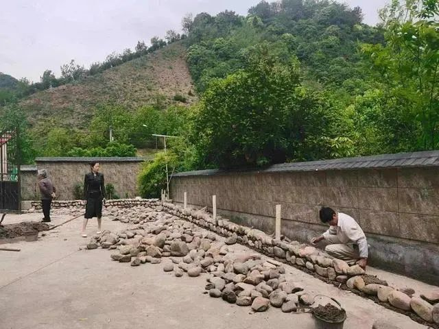 共富“重頭戲”！臨安朱灣村與九耕“牽手”打造“五星生態(tài)農(nóng)場”