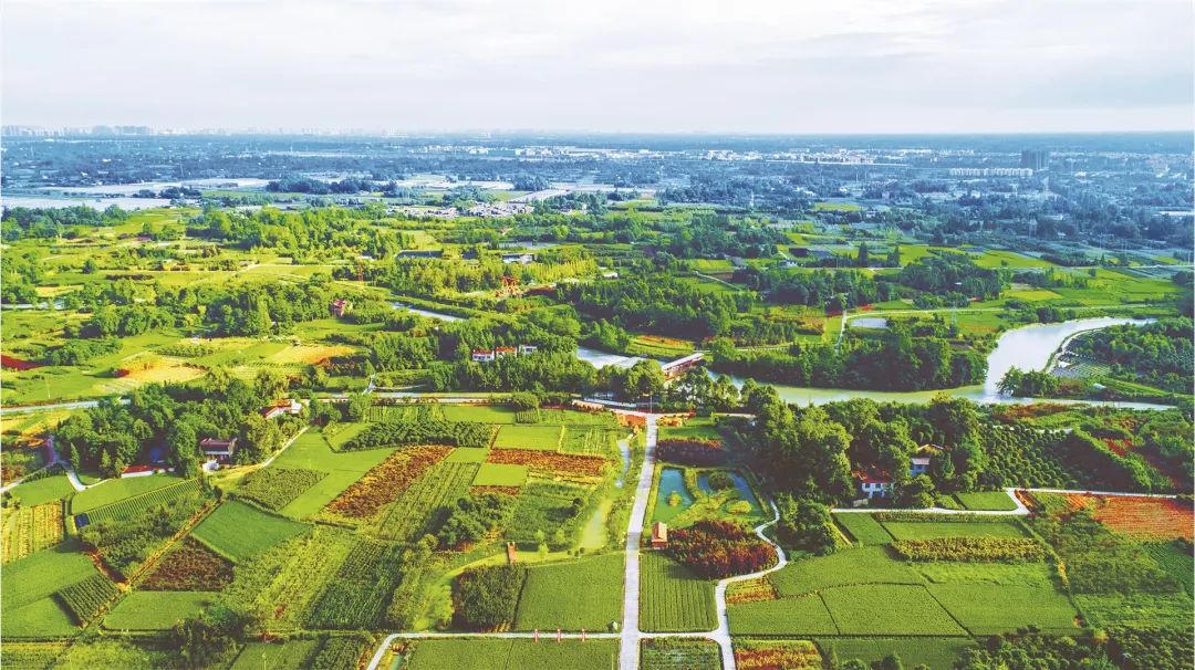 《減污降碳協(xié)同增效實(shí)施方案》發(fā)布，水、土壤、固廢等領(lǐng)域要如何做？