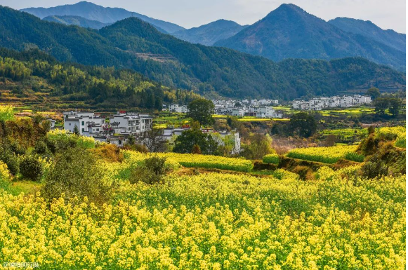 2025 年新增完成 1600 個(gè)行政村環(huán)境整治，廣西發(fā)布《農(nóng)業(yè)農(nóng)村污染治理攻堅(jiān)戰(zhàn)實(shí)施方案（2021—2025年）》