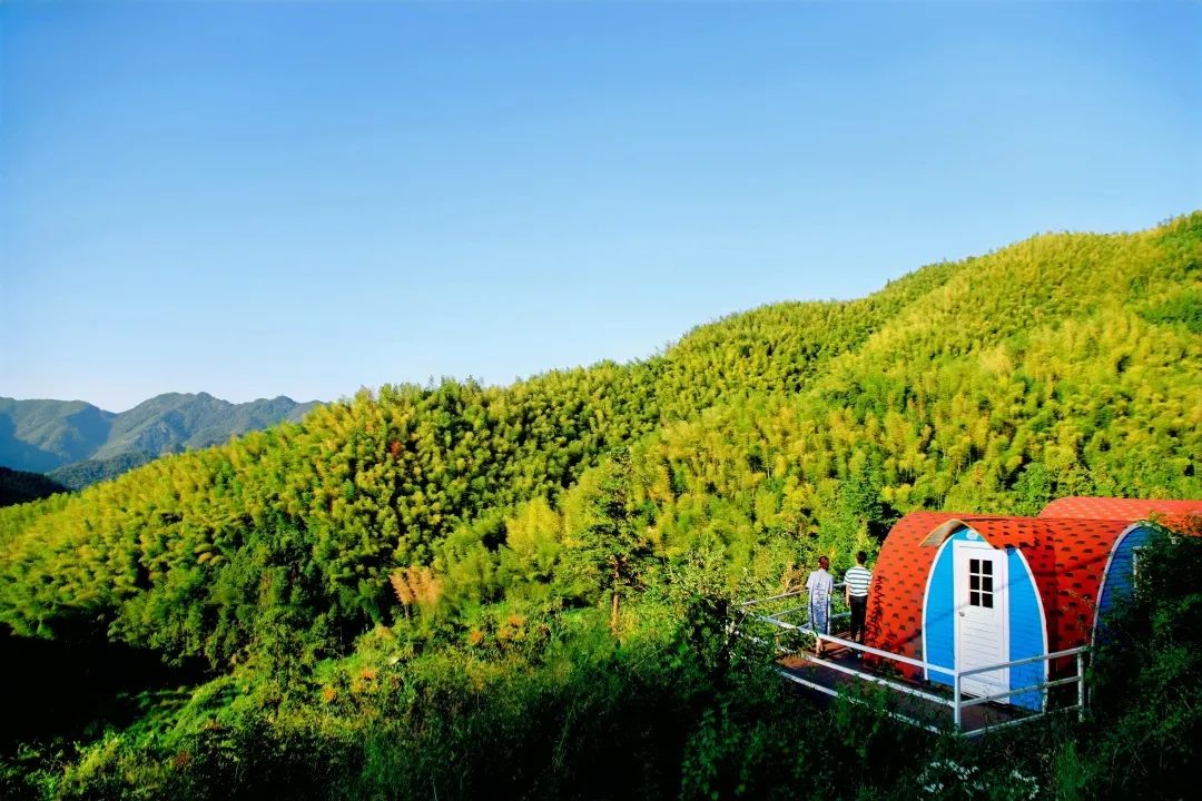 縉云首個(gè)竹林碳匯項(xiàng)目成功落地新建鎮(zhèn)