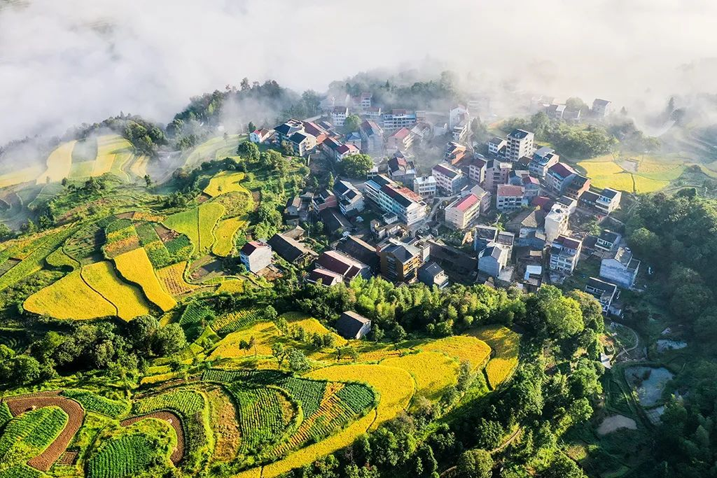 浙江省農(nóng)業(yè)農(nóng)村廳印發(fā)《浙江省未來農(nóng)場(chǎng)建設(shè)導(dǎo)則（1.0版）》（全文）