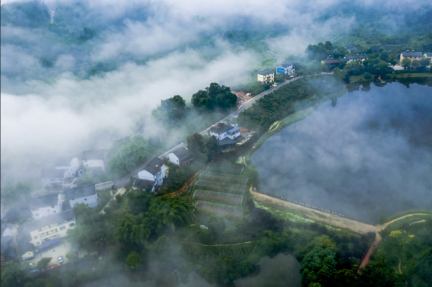 什么是碳達峰與碳中和？全球有哪些國家做出了碳中和承諾？
