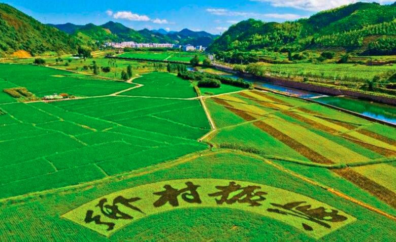 鄉(xiāng)村振興規(guī)劃實施進(jìn)展如何？這場發(fā)布會劃重點：系統(tǒng)治理優(yōu)生態(tài)