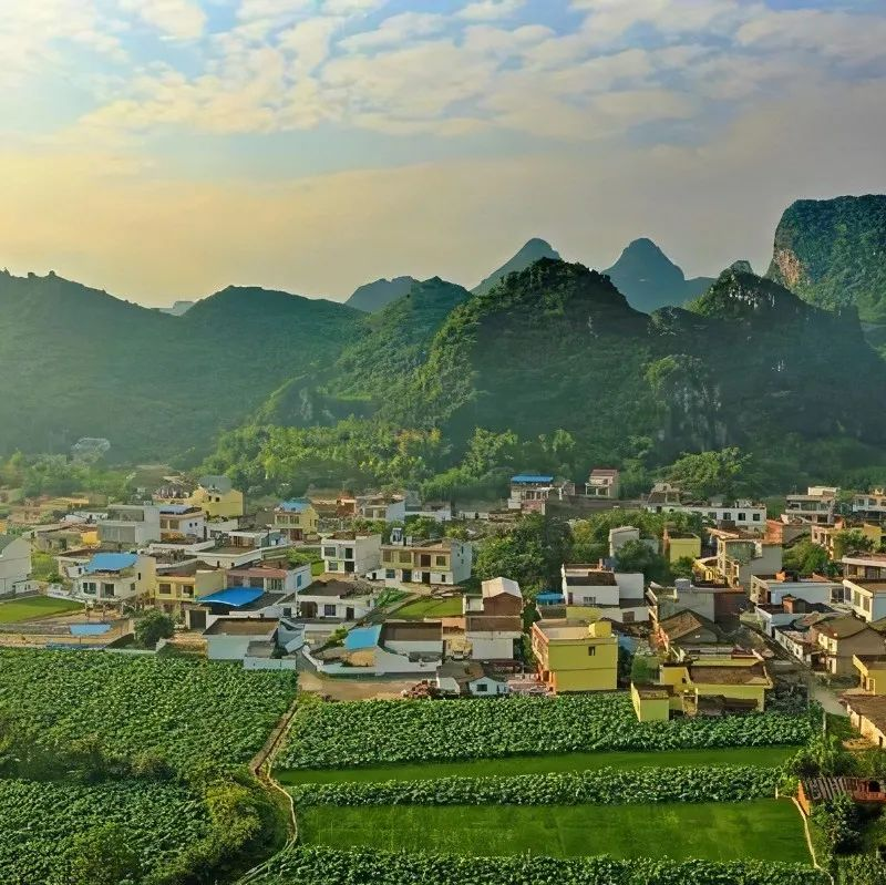 EOD模式的政策支撐、運用邏輯和案例解讀