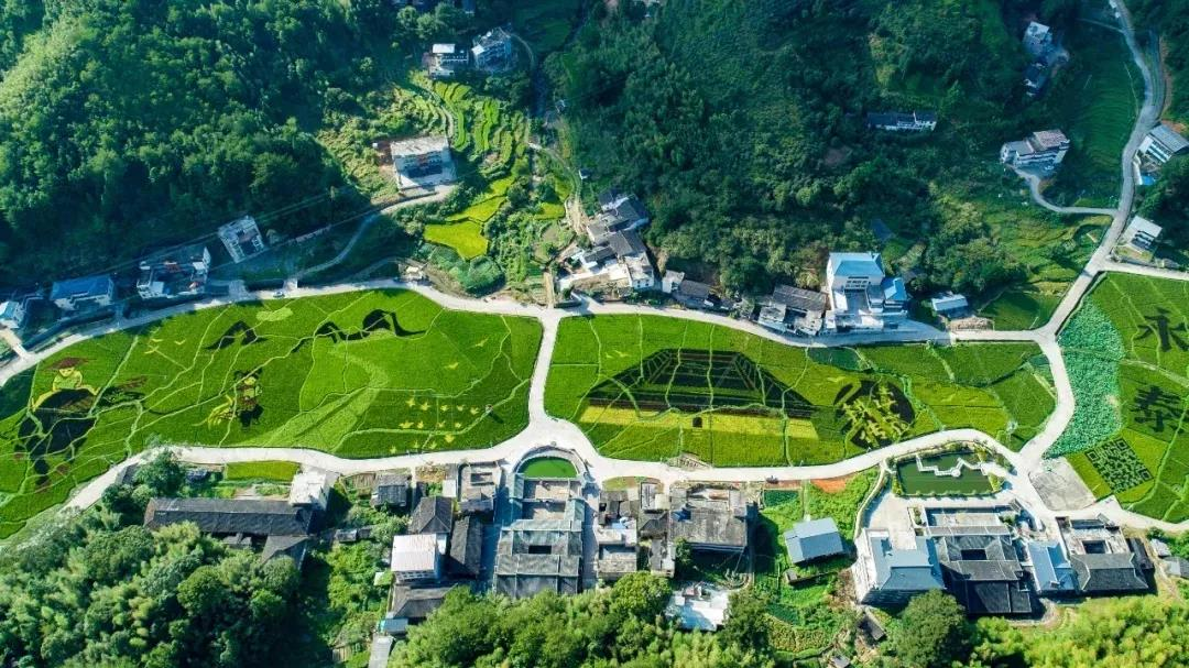 《關(guān)于擴(kuò)大當(dāng)前農(nóng)業(yè)農(nóng)村基礎(chǔ)設(shè)施建設(shè)投資的工作方案》全文發(fā)布！