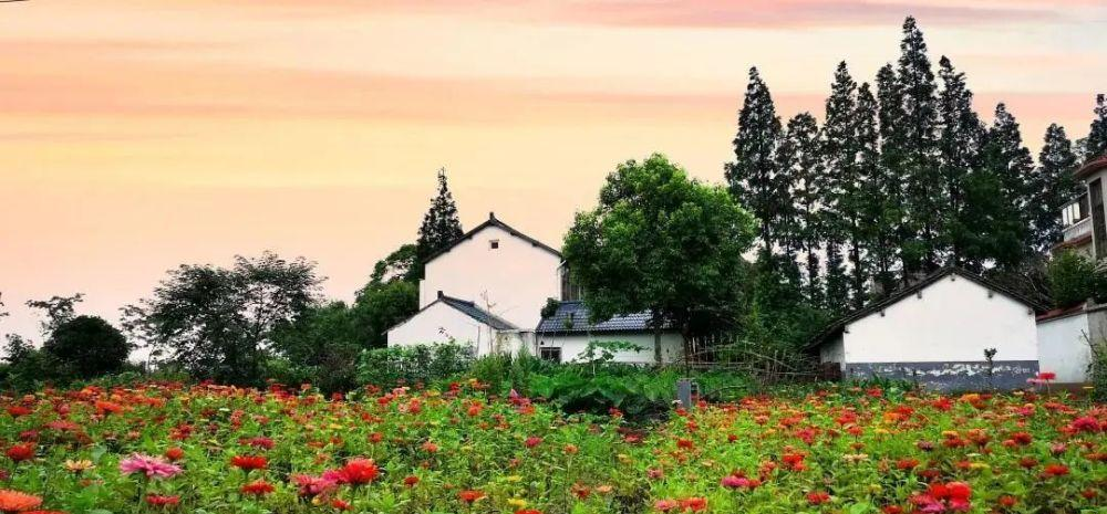 老舊改造+資源化+生態(tài)管控，上海市農(nóng)村生活污水治理提標(biāo)增效行動(dòng)方案發(fā)布