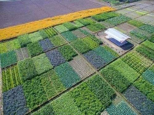 什么是數(shù)字鄉(xiāng)村？如何推進(jìn)建設(shè)智慧綠色鄉(xiāng)村？指南來(lái)了！