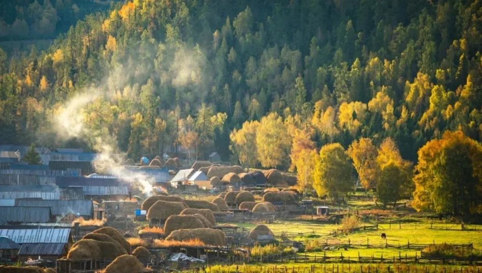 國家鄉(xiāng)村振興局開會研究謀劃明年工作，明確了這些重點和要求
