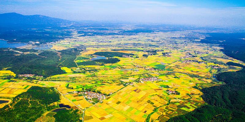 31個省區(qū)市“雙碳”目標(biāo)及有關(guān)規(guī)劃