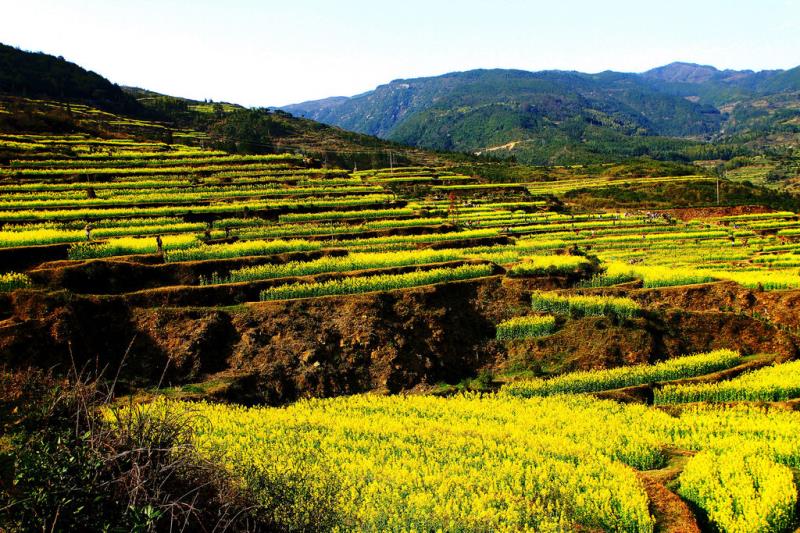 農(nóng)污設(shè)施正常運(yùn)行率80%，山西省水環(huán)境質(zhì)量再提升2022-2023年行動計劃發(fā)布