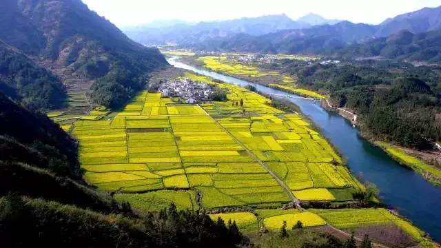 中央經(jīng)濟(jì)工作會議要求，在落實碳達(dá)峰碳中和目標(biāo)任務(wù)過程中鍛造新的產(chǎn)業(yè)競爭優(yōu)勢