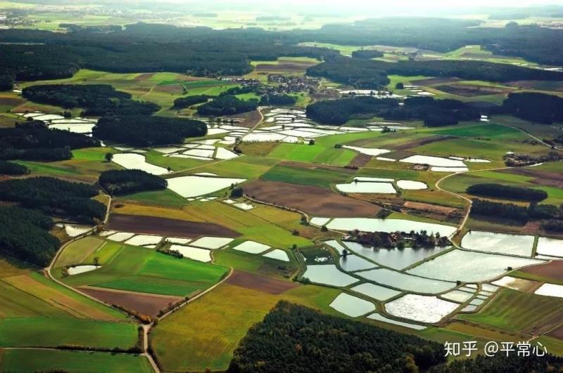 農(nóng)村污水|生態(tài)環(huán)保項目可申請哪些專項資金？