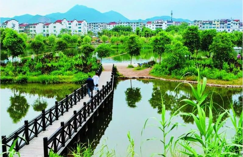 《中國環(huán)境報》頭版頭條：浙江構(gòu)建降碳、減污、擴綠、增長整體智治體系