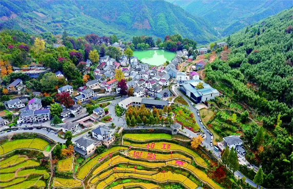 喜訊丨商達(dá)公用被命名為“臨安區(qū)青少年科普教育基地”