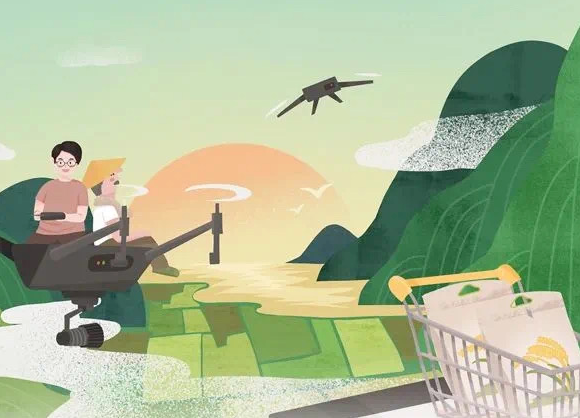 全國(guó)唯一！浙江明確“156”工作體系，全面推進(jìn)數(shù)字鄉(xiāng)村引領(lǐng)區(qū)建設(shè)