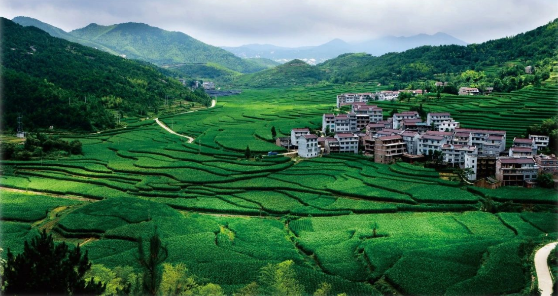 2023年中央一號(hào)文件，與生態(tài)環(huán)保息息相關(guān)的內(nèi)容有哪些？