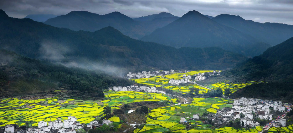 農(nóng)業(yè)農(nóng)村部一號(hào)文件發(fā)布：統(tǒng)籌推進(jìn)農(nóng)村生活污水和垃圾治理！