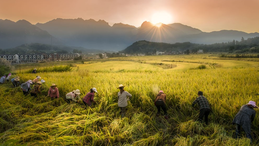 河南七部門(mén)聯(lián)合發(fā)布《河南省減污降碳協(xié)同增效行動(dòng)方案》