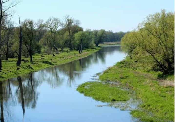 國(guó)家鄉(xiāng)村振興局一號(hào)文件發(fā)布：抓好農(nóng)村人居環(huán)境整治提升
