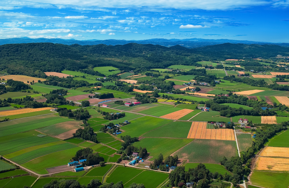 2023年鄉(xiāng)村振興項目申報及政策補貼匯總，支持鄉(xiāng)鎮(zhèn)污水處理、農(nóng)村人居環(huán)境整治、智慧農(nóng)業(yè)和數(shù)字鄉(xiāng)村等領(lǐng)域