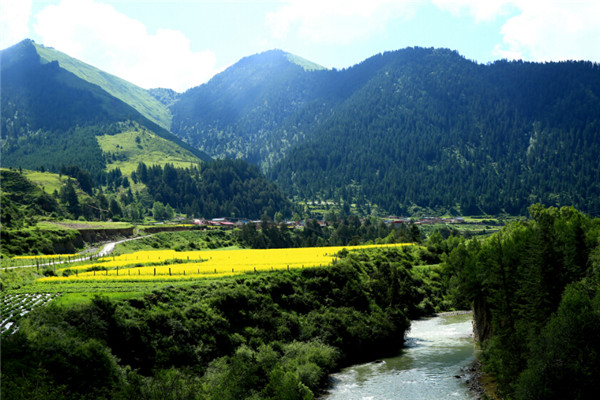 建設(shè)村莊垃圾收集點、鄉(xiāng)鎮(zhèn)垃圾轉(zhuǎn)運站，《甘肅省鄉(xiāng)村建設(shè)行動實施方案》明確這些要求！