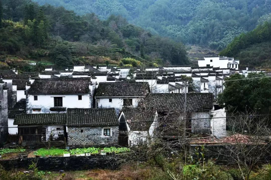 七部門明確！在農(nóng)村人居環(huán)境整治提升中統(tǒng)籌考慮減污降碳要求