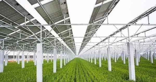 “光伏+農業(yè)”八大新模式，一個正在打開的未來！