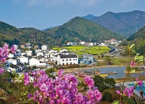 農(nóng)業(yè)農(nóng)村部答復(fù)關(guān)于建立鄉(xiāng)村振興國(guó)家級(jí)產(chǎn)業(yè)示范區(qū)的提案