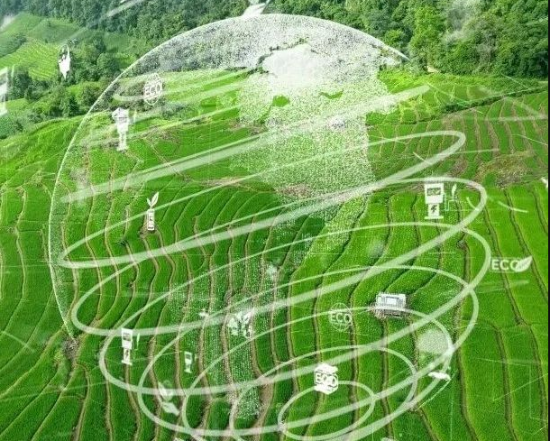 農(nóng)業(yè)碳匯加速入局碳交易，農(nóng)產(chǎn)品固碳價值“變現(xiàn)”可期