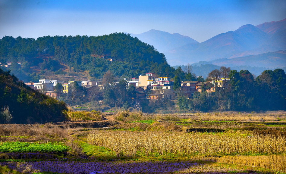 山東省農(nóng)村生活污水處理設(shè)施運行維護管理辦法（修訂稿）征求意見