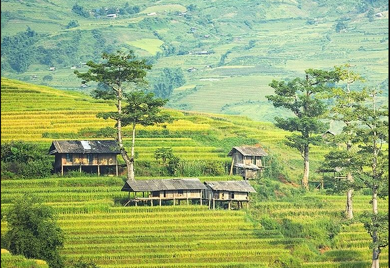 農(nóng)村生活污水凈化裝置團(tuán)體標(biāo)準(zhǔn)通過(guò)批準(zhǔn)，12月1日起正式實(shí)施