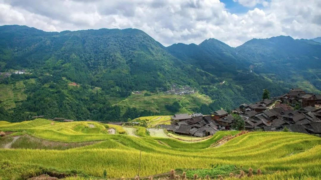 安徽：農(nóng)村黑臭水體整治，強(qiáng)化推進(jìn)會落實(shí)