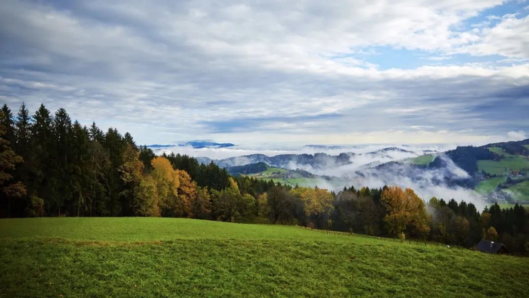 ?？冢恨r(nóng)村黑臭水體整治中的“四下基層”制度應用