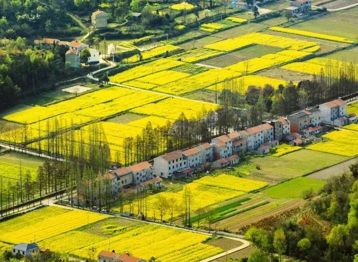 2025年治理率達(dá)到65.76%以上，武漢市農(nóng)村生活污水治理三年行動(dòng)實(shí)施方案發(fā)布