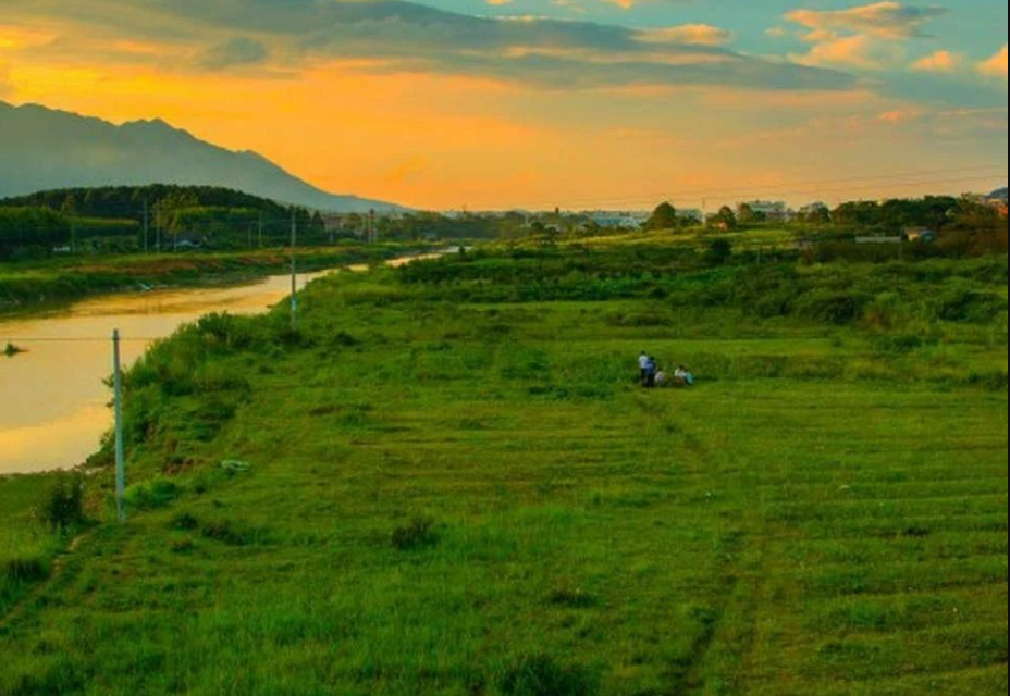湖南省2024年擬推薦的地方生態(tài)環(huán)境標(biāo)準(zhǔn)項目公示