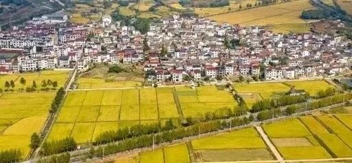 未來5年，鄉(xiāng)村產(chǎn)業(yè)8大投資重點在哪里？