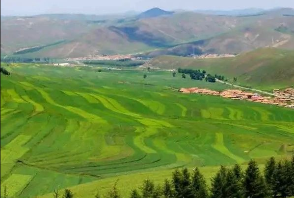 全文丨浙江農(nóng)業(yè)農(nóng)村廳 浙江農(nóng)商行印發(fā)《關(guān)于金融支持新型農(nóng)業(yè)經(jīng)營主體高質(zhì)量發(fā)展助力農(nóng)業(yè)農(nóng)村現(xiàn)代化先行的指導(dǎo)意見》