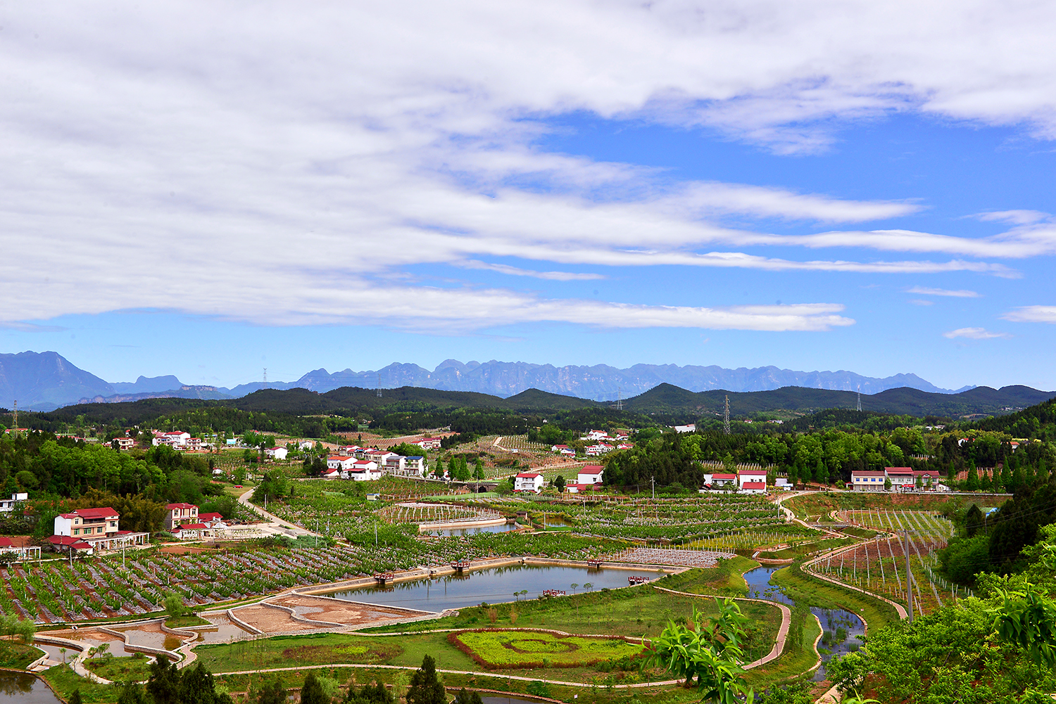 首批試點！國家發(fā)展改革委公布重要名單