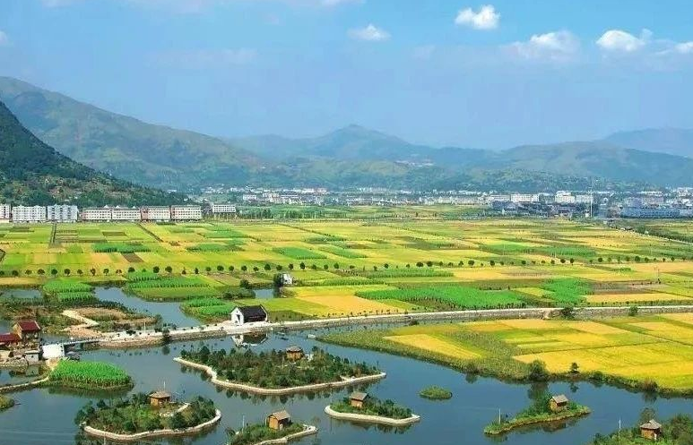 鄉(xiāng)村振興工作滯后，約談！江西省委、省政府發(fā)布《江西省鄉(xiāng)村振興責(zé)任制實施細(xì)則》