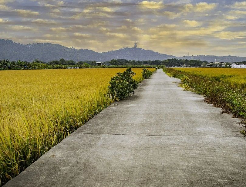 12月16日執(zhí)行！廣東省農(nóng)業(yè)農(nóng)村廳 廣東省財政廳關(guān)于印發(fā)《廣東省現(xiàn)代農(nóng)業(yè)產(chǎn)業(yè)園財政資金管理辦法（修訂）》的通知