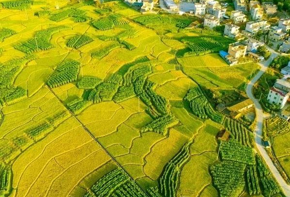 農(nóng)村污水處理：不同省份如何因地制宜？