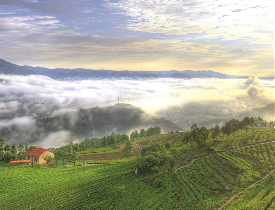 農(nóng)村生活污水治理率達(dá)到46.58%，湖北省印發(fā)2024年全省生態(tài)環(huán)境工作要點(diǎn)